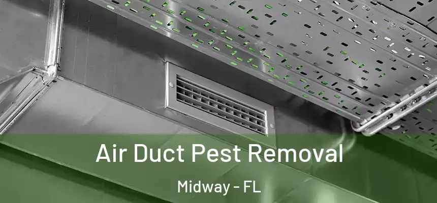 Air Duct Pest Removal Midway - FL