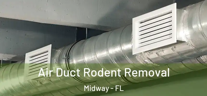Air Duct Rodent Removal Midway - FL