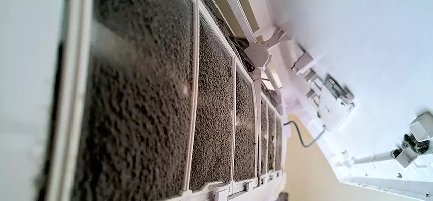 Preventive Air Duct Bacteria Removal in Midway