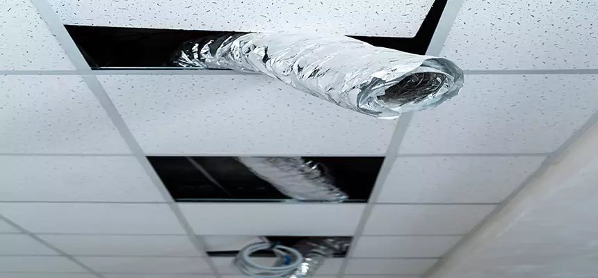 Our Air Duct Pet Hair Removal Services in Midway, FL