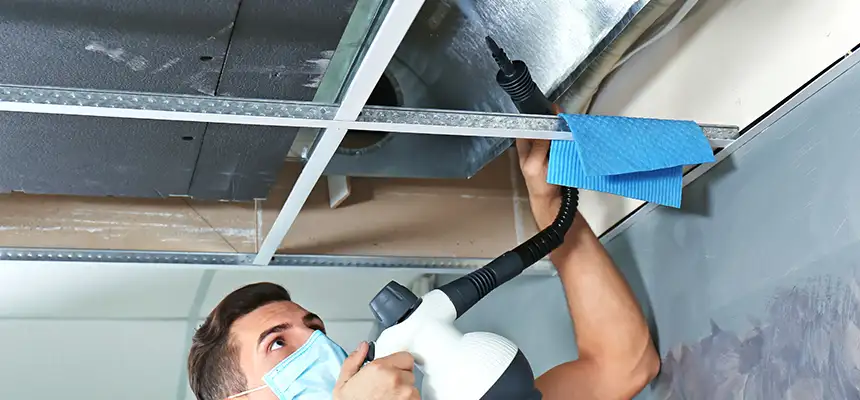 Our Air Duct Rodent Removal Services in Midway, FL