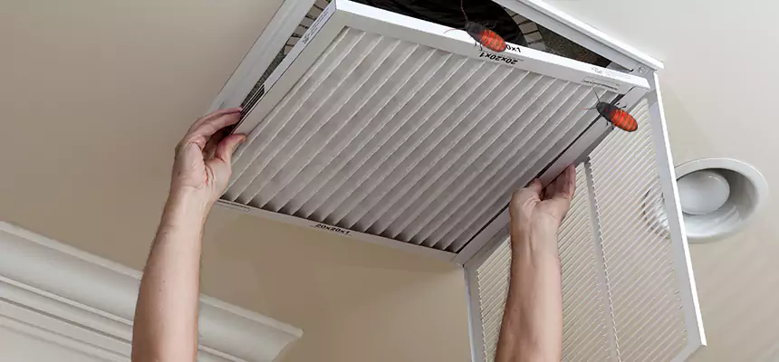 Our Insect Removal from Air Ducts Services in Midway, FL