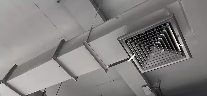 Our Rodent Droppings In Vents Services in Midway, FL