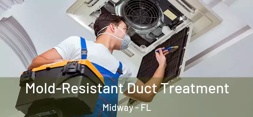 Mold-Resistant Duct Treatment Midway - FL