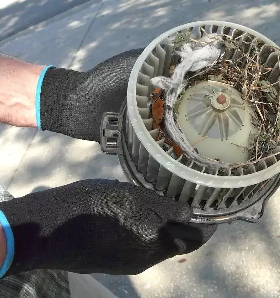 About Air Duct Rat Removal in Midway, FL