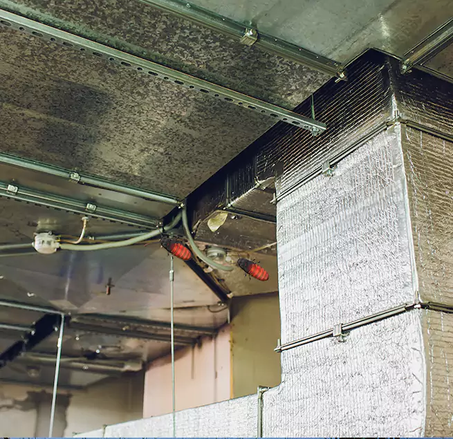 Why Homeowners & Businesses Trust Us in Midway, FL?