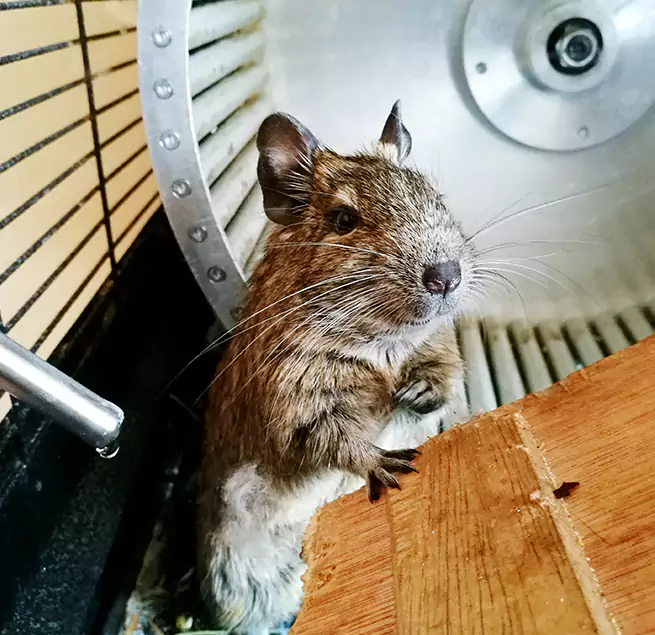 Why Homeowners & Businesses Trust Us Midway, FL