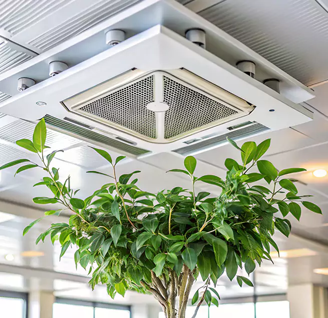 Why Homeowners & Businesses Trust Us in Midway, FL