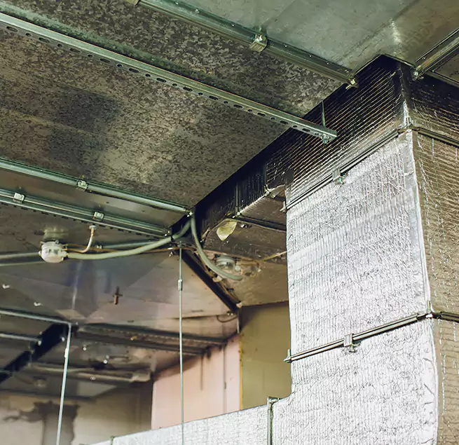 Why Homeowners & Businesses Trust Us in Midway, FL?